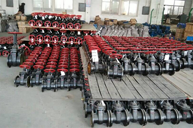 Z41T,Z45T铸铁闸阀-3