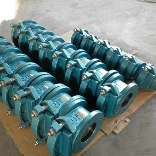 船用法兰铸钢盲板阀实物图